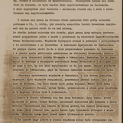 Relacja Augusta Pietruszki 2/3